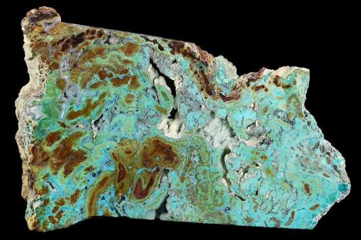 Petrified Colla Wood With Chrysocolla & Malachite - Turkey #129070